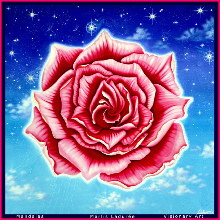 ROSE CELESTE 80 cm x 80 cm Glaze, oil on canvas