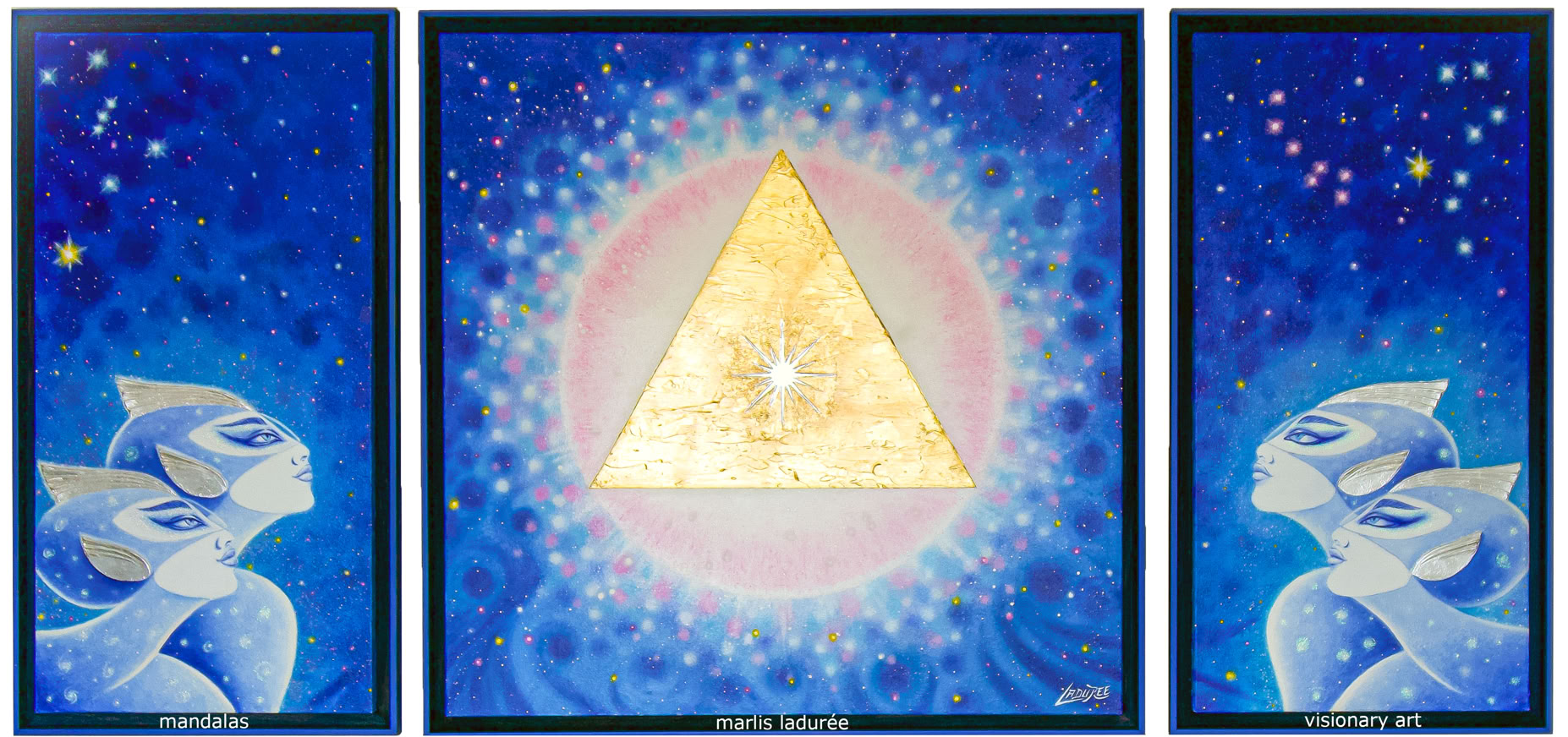 Les Pléiadiens sont définis comme un « collectif d'êtres spirituels multidimensionnels du système stellaire des Pléiades », la mission de ce groupe est d'aider l'humanité dans le processus de transformation spirituelle.  Leur motivation est de se connecter avec l'humanité avec pour préoccupation l'avenir de la planète Terre.  Les légendes nous apprennent qu'elles arrivent sur Terre comme des « poussières d'étoiles », avec pour mission d'apporter la lumière et la connaissance.  Le système des Pléiades, aussi appelées les « Sept Sœurs », sont un groupe d'étoiles de la constellation  du Taureau. 