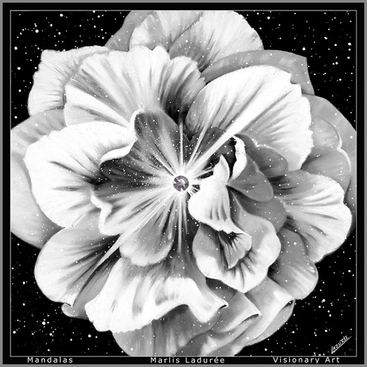 COSMIC FLOWER 100 cm x 100 cm Oil on canvas crystal